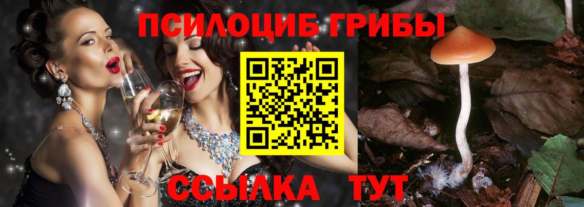 Псилоцибиновые грибы Cubensis  Вход с VPN  Холмск 